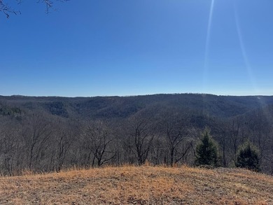 Lake Acreage For Sale in Crawford, Tennessee