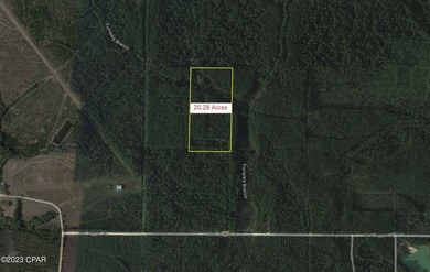 This sprawling 20.28-acre property in Freeport, FL features a - photo 4