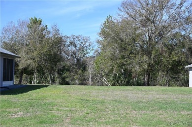 Lake Lot For Sale in Inverness, Florida