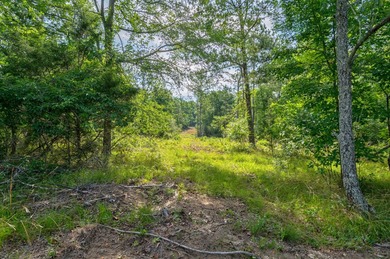 The Yellow River Tract presents a rare opportunity to acquire - photo 12