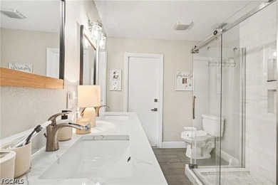 Fantastic totally renovated 2 bedroom 2 bath 1 car garage - photo 13