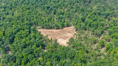 The Yellow River Tract presents a rare opportunity to acquire - photo 13