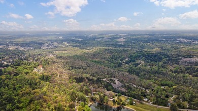 The Yellow River Tract presents a rare opportunity to acquire - photo 15