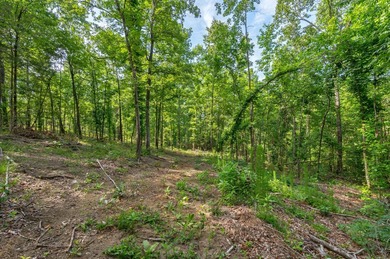 The Yellow River Tract presents a rare opportunity to acquire - photo 16