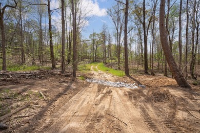 The Yellow River Tract presents a rare opportunity to acquire - photo 17