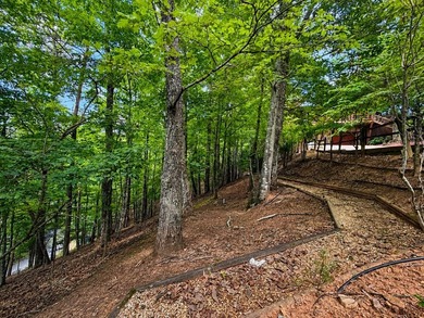 Tucked into a private wooded setting on top of the mountain in - photo 18