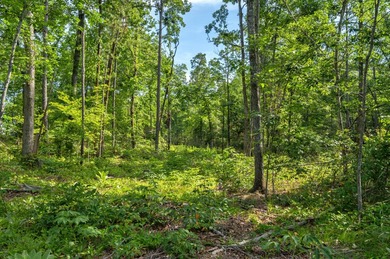 The Yellow River Tract presents a rare opportunity to acquire - photo 20
