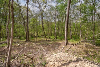 The Yellow River Tract presents a rare opportunity to acquire - photo 21