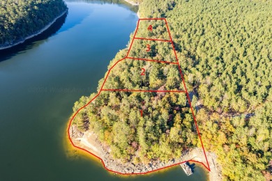 Lewis Smith Lake Acreage For Sale in Arley Alabama