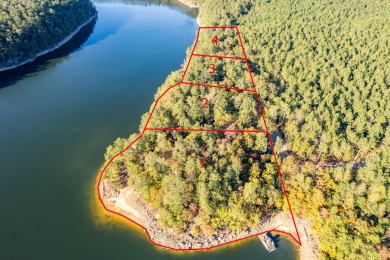 Lake Lot For Sale in Arley, Alabama