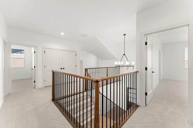 New construction luxury home in Windsor's Greenspire at Windsor - photo 22