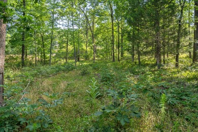 The Yellow River Tract presents a rare opportunity to acquire - photo 22