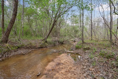 The Yellow River Tract presents a rare opportunity to acquire - photo 25