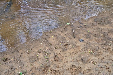 The Yellow River Tract presents a rare opportunity to acquire - photo 27