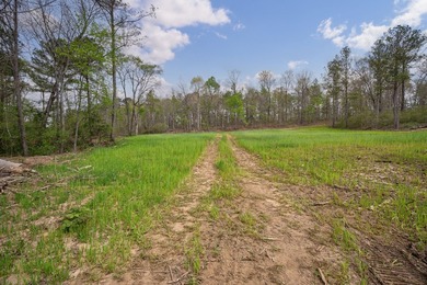 The Yellow River Tract presents a rare opportunity to acquire - photo 28