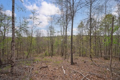 The Yellow River Tract presents a rare opportunity to acquire - photo 30