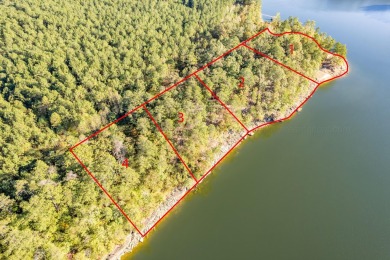 Lewis Smith Lake Lot For Sale in Arley Alabama