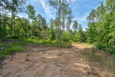 The Yellow River Tract presents a rare opportunity to acquire - photo 33