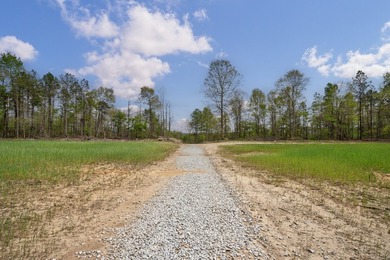 The Yellow River Tract presents a rare opportunity to acquire - photo 35