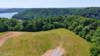 PREMIER WATERVIEW ESTATE LOTS AT MIRACLE POINT - DALE HOLLOW - photo 6