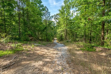 The Yellow River Tract presents a rare opportunity to acquire - photo 36