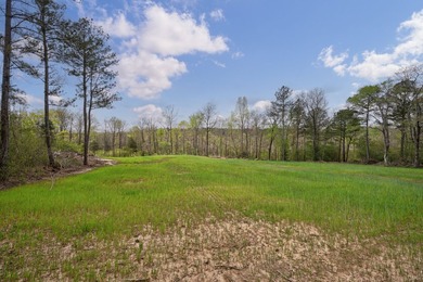 The Yellow River Tract presents a rare opportunity to acquire - photo 37