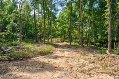The Yellow River Tract presents a rare opportunity to acquire - photo 38