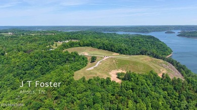 PREMIER WATERVIEW ESTATE LOTS AT MIRACLE POINT - DALE HOLLOW - photo 9
