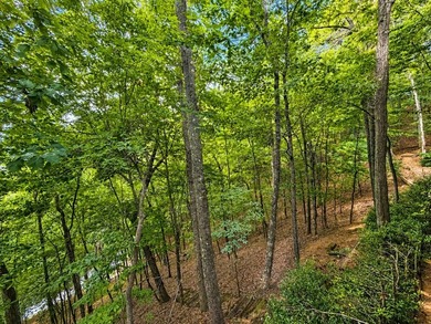 Tucked into a private wooded setting on top of the mountain in - photo 39