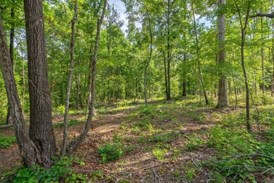 The Yellow River Tract presents a rare opportunity to acquire - photo 39