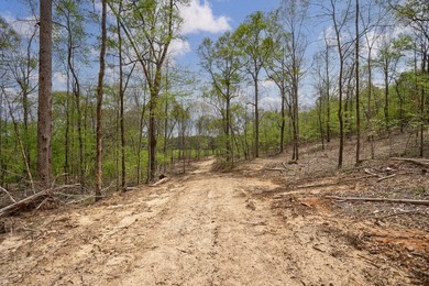 The Yellow River Tract presents a rare opportunity to acquire - photo 40