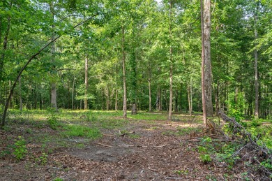 The Yellow River Tract presents a rare opportunity to acquire - photo 41