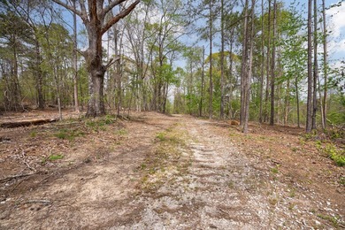 The Yellow River Tract presents a rare opportunity to acquire - photo 42