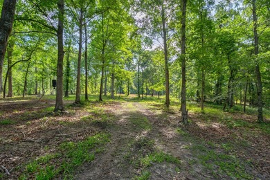 The Yellow River Tract presents a rare opportunity to acquire - photo 43