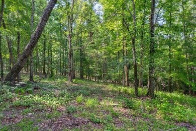 The Yellow River Tract presents a rare opportunity to acquire - photo 44