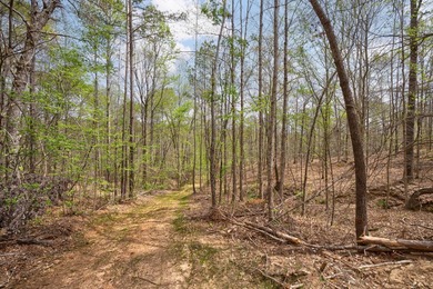 The Yellow River Tract presents a rare opportunity to acquire - photo 45