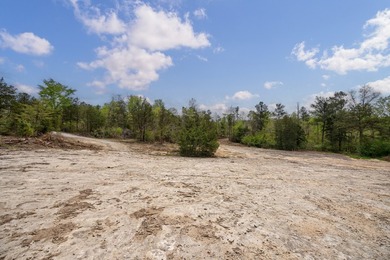 The Yellow River Tract presents a rare opportunity to acquire - photo 46