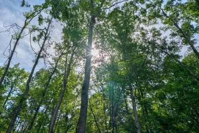 The Yellow River Tract presents a rare opportunity to acquire - photo 47