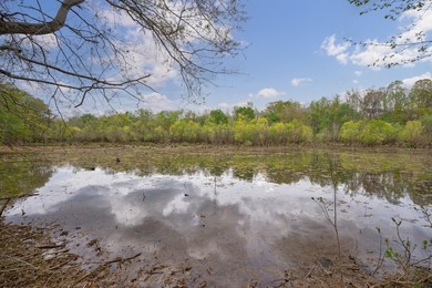 The Yellow River Tract presents a rare opportunity to acquire - photo 49