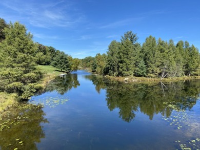 Lake Lot For Sale in Canadian Lakes, Michigan