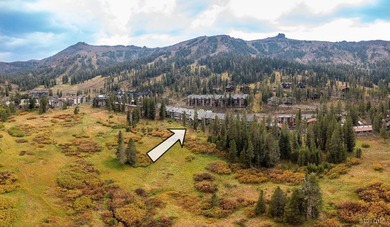 Caples Lake Condo For Sale in Kirkwood California