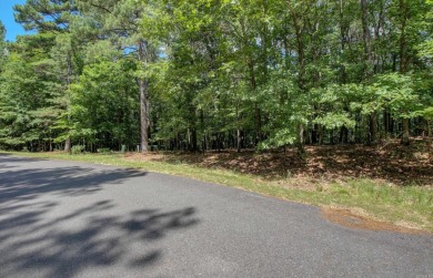 Lake Lot For Sale in Hot Springs Village, Arkansas