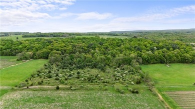 Lake Acreage For Sale in Lodi, New York