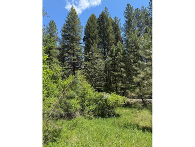 (private lake, pond, creek) Lot For Sale in New Meadows Idaho