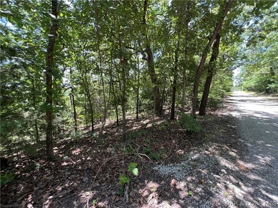 Ready to invest or develop? This 7.67-acre tract on the edge of - photo 11