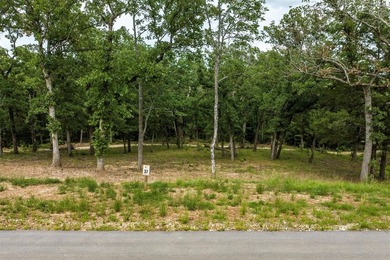Build your dream home on this beautiful 1.63-acre elevated lot - photo 13