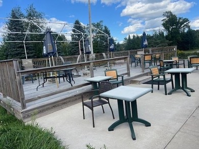 Well established tavern and restaurant located 5 miles West of - photo 16