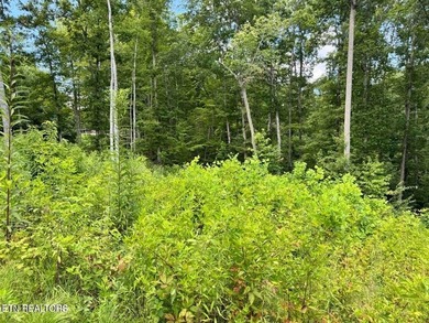Beautiful 5.42 acres with gorgeous views overlooking the East - photo 6