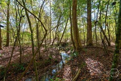 (private lake, pond, coastal) Acreage For Sale in Carlton Georgia