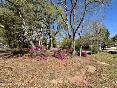 Beautiful corner lot located at 777 Moanalua Way in Diamondhead - photo 4